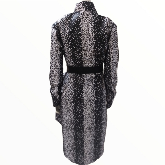 Hi-Low Button Down Shirt Dress - Picture 2 of 4